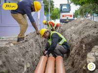 Sample